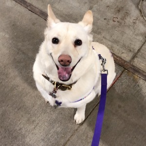 Fundraising Page: Scott Farrell